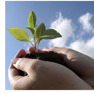 Lubrifiants écologiques