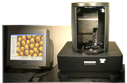 AFM - Atomicn Force Microscope